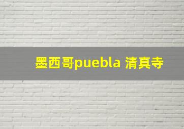 墨西哥puebla 清真寺